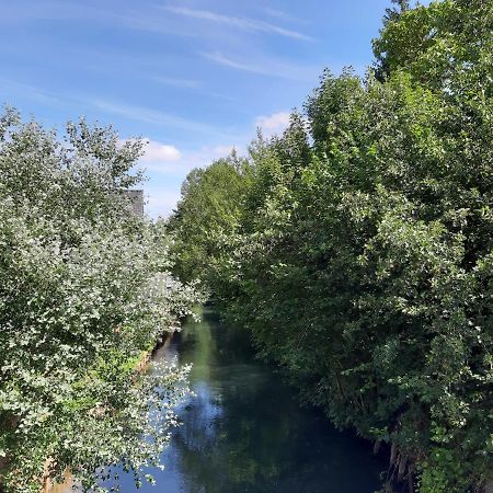 Le Domaine Des Anges ξενώνας Wavrans-sur-l'Aa Εξωτερικό φωτογραφία