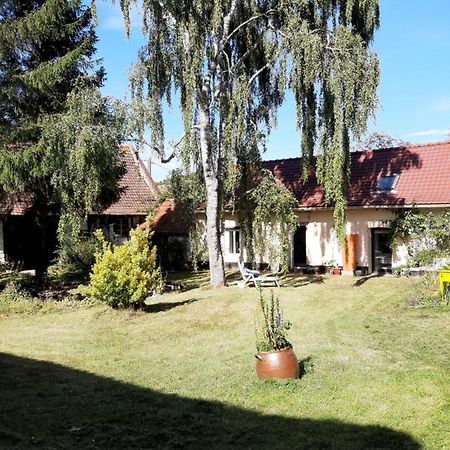 Le Domaine Des Anges ξενώνας Wavrans-sur-l'Aa Εξωτερικό φωτογραφία