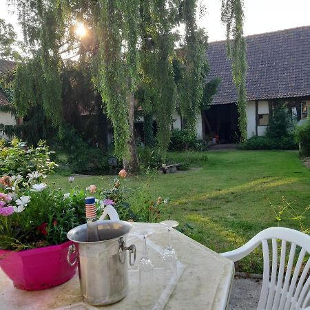 Le Domaine Des Anges ξενώνας Wavrans-sur-l'Aa Εξωτερικό φωτογραφία