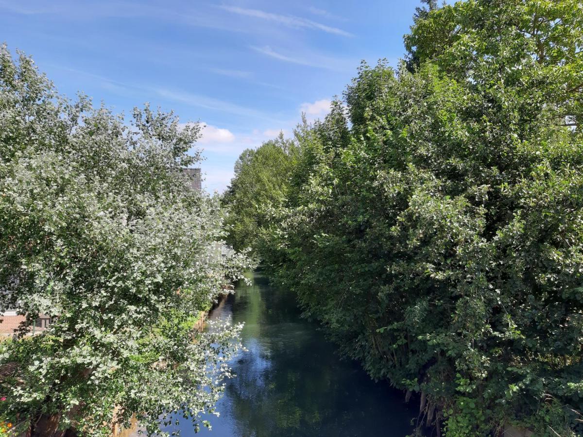 Le Domaine Des Anges ξενώνας Wavrans-sur-l'Aa Εξωτερικό φωτογραφία