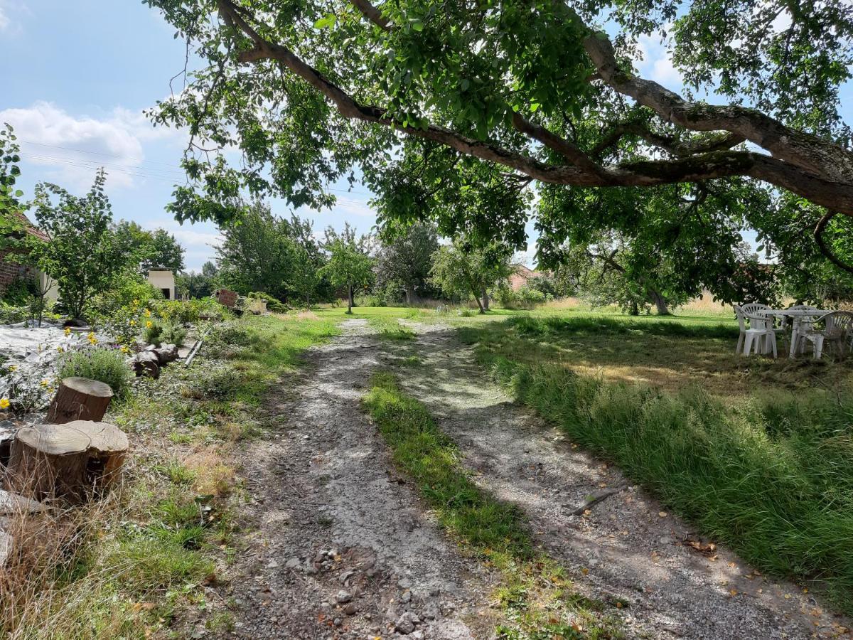 Le Domaine Des Anges ξενώνας Wavrans-sur-l'Aa Εξωτερικό φωτογραφία
