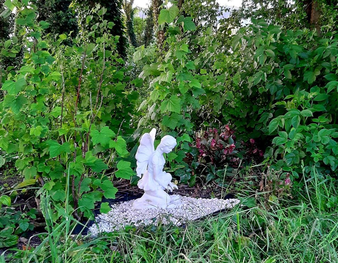 Le Domaine Des Anges ξενώνας Wavrans-sur-l'Aa Εξωτερικό φωτογραφία