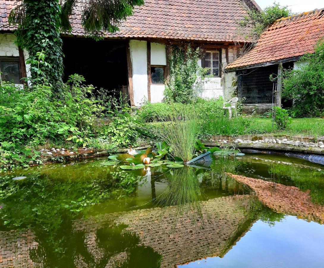 Le Domaine Des Anges ξενώνας Wavrans-sur-l'Aa Εξωτερικό φωτογραφία